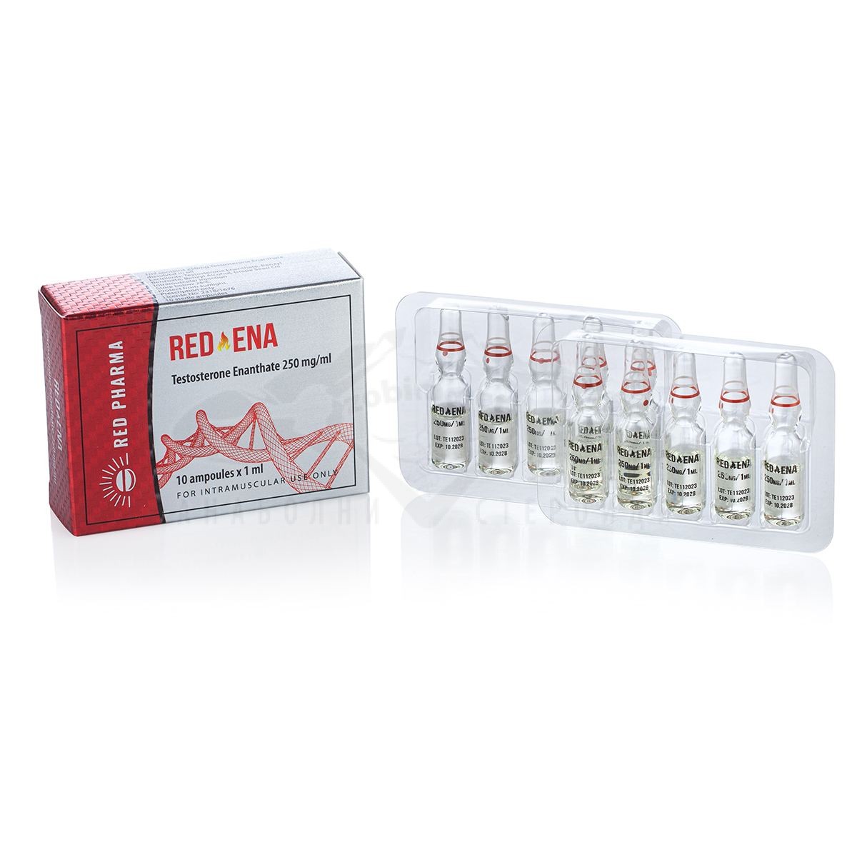 Acquistare Testosterone Enanthate 10 fiale x 250 mg. 1 Acquistare Testosterone Enanthate 10 fiale x 250 mg.